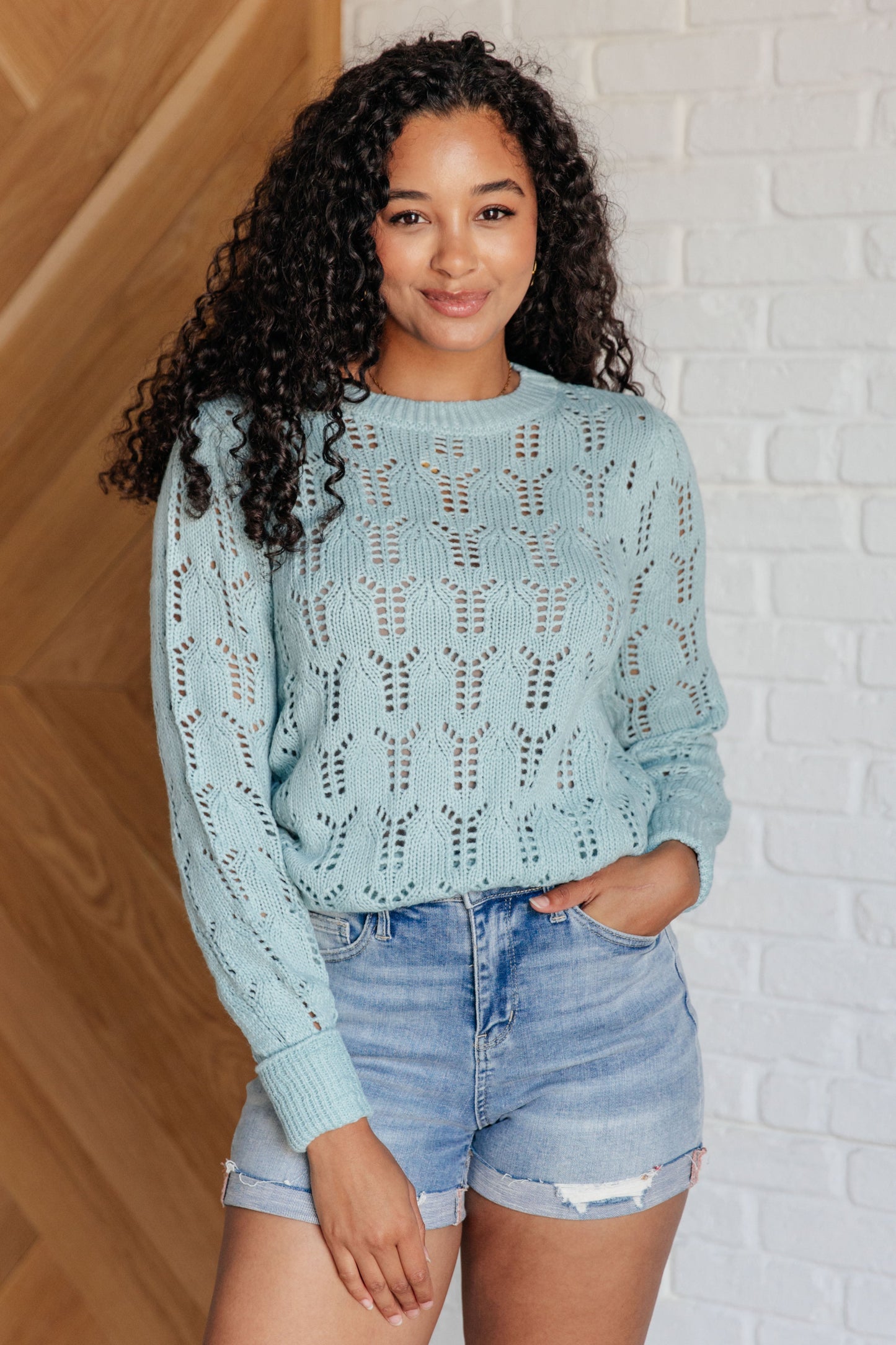 Hole In One Sheer Pointelle Knit Sweater